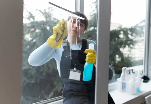 Nettoyage de vitres intérieures et extérieures à Mozac